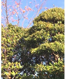 古着 | ニット/セーター