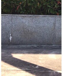 COLE HAAN | パンプス