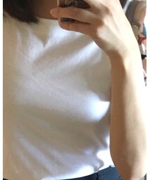 miu miu | Tシャツ/カットソー