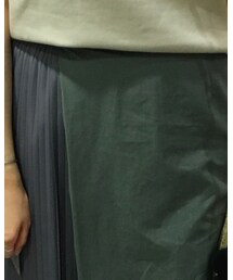 green label relaxing | スカート