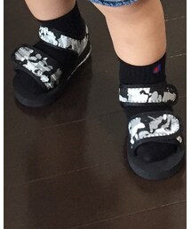 Champion | ソックス/靴下