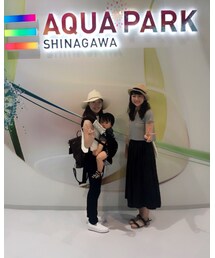 🐬🐬🐬 | その他