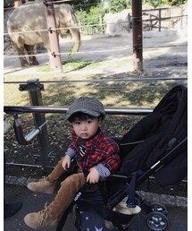 🐘🐘🐘 | その他