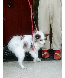 大好き | その他