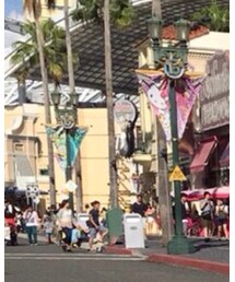 セレンゲッティー | サングラス