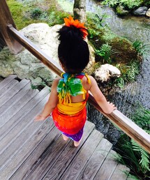 パレオ (ワンピース)