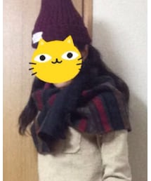不明 | マフラー