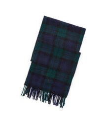 BEAMS | マフラー