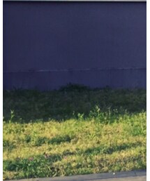 Lee | デニムパンツ