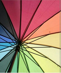 FLYING TIGERS | 虹色傘(長傘)