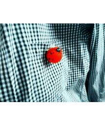 Handmade | ブローチ/コサージュ