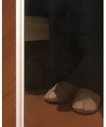 おうちのスリッパ | その他シューズ