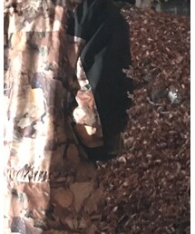 Supreme  | マウンテンパーカー