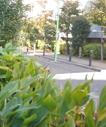 visuna | 自然があるのどかな場所にあります♡(その他)