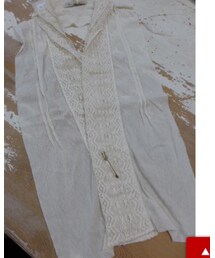 Vlas Blomme | その他