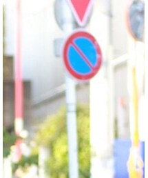 GILDAN | Tシャツ/カットソー