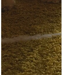 no brand | ラグ/マット