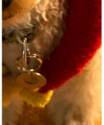 リサとガスパール | スウェット