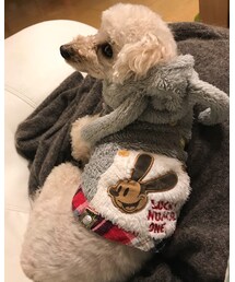 チャコ拡大！ | パーカー