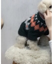 AS KNOW AS plus | ニット/セーター