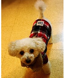 チャコ拡大！ | ママ〜、、30点！(スウェット)