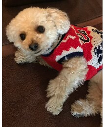 チャコ拡大！ | ニット/セーター