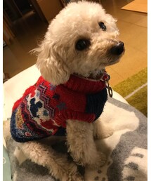 チャコ拡大！ | ニット/セーター