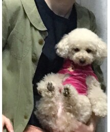 basic &accent | Tシャツ/カットソー