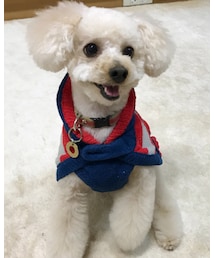 チャコさっぱりんこ♡ | ニット/セーター