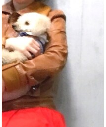 SHIPS | ライダースジャケット