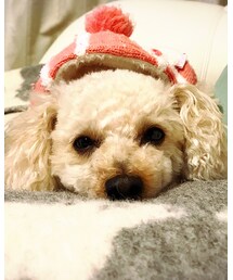 チャコアップ♡ | Tシャツ/カットソー