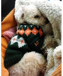 チャコもニット♡ | ニット/セーター