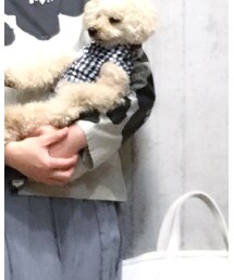 grin | Tシャツ/カットソー