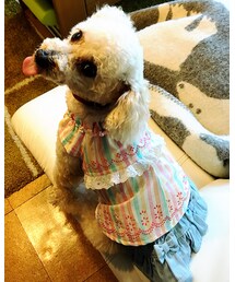 チャコのあっかんべー♡ | シャツワンピース
