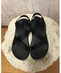 Chaco | サンダル