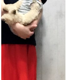 SCYE BASICS | スウェット