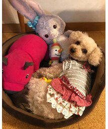 チャコの詰め合わせ♡ | その他