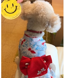 チャコ後ろ姿♡ | その他