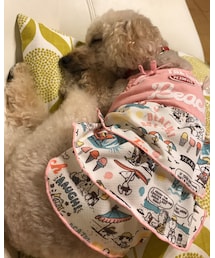 チャコ、スヌーピーワンピ🌸 | ワンピース