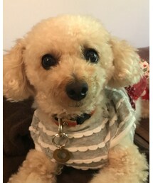 チャコ、みつめるの✨ | その他