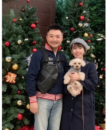 もうクリスマスなのですねー🎄 | その他