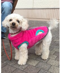 チャコのフリースはピンク💗 | その他