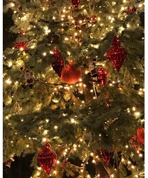 ミッドタウンのツリー🎄 | その他