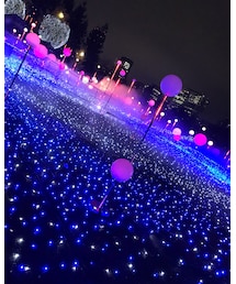 ミッドタウンのイルミネーション✨ | その他