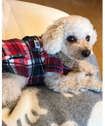 常に横から見てるチャコ♡ | その他