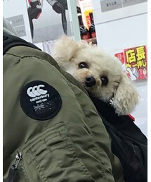 チャコ、店長イチ押し👍 | その他