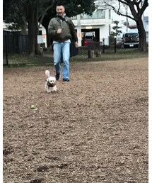 ドッグラン一人占め💗 | その他