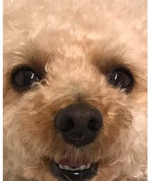 リラックスチャコべえ🌸 | その他