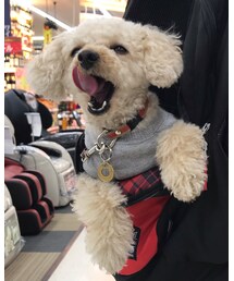 リュックから出してぇ〜💦 | その他