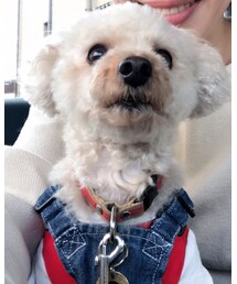 チャコのコーデはサロペットだよ💗 | その他